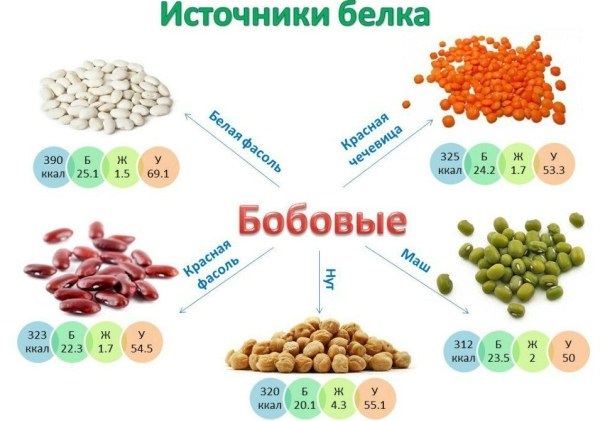 Мени за сушење тела за жене за сваки дан, недељу, месец. Прехрамбени принципи