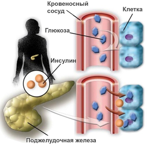 Пилинг Јесснер. Шта је то, како се то ради, дневна нега, прегледи