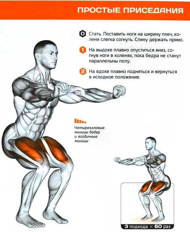 Squats để giảm cân vùng bụng và hai bên, chân, hông. Chương trình dành cho phụ nữ. Ảnh, kết quả