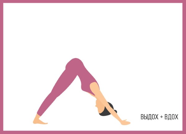 Sun Salutation เป็นชุดแบบฝึกหัดสำหรับผู้เริ่มต้น ประโยชน์ของโยคะวิธีการทำ