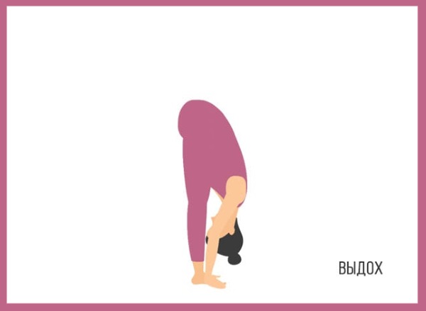 Sun Salutation เป็นชุดแบบฝึกหัดสำหรับผู้เริ่มต้น ประโยชน์ของโยคะวิธีการทำ