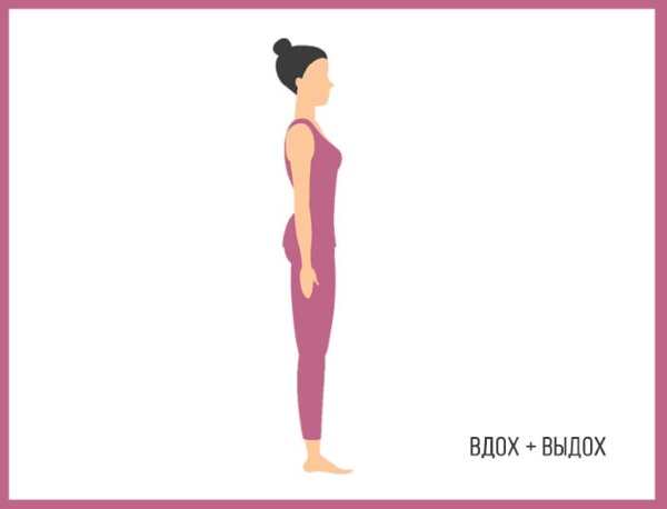Sun Salutation เป็นชุดแบบฝึกหัดสำหรับผู้เริ่มต้น ประโยชน์ของโยคะวิธีการทำ