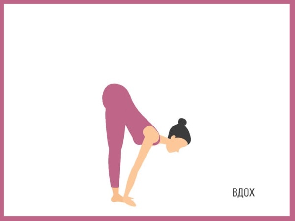 Sun Salutation เป็นชุดแบบฝึกหัดสำหรับผู้เริ่มต้น ประโยชน์ของโยคะวิธีการทำ