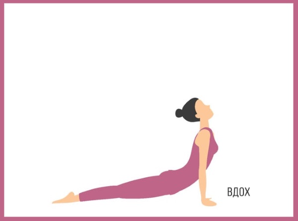 Sun Salutation เป็นชุดแบบฝึกหัดสำหรับผู้เริ่มต้น ประโยชน์ของโยคะวิธีการทำ