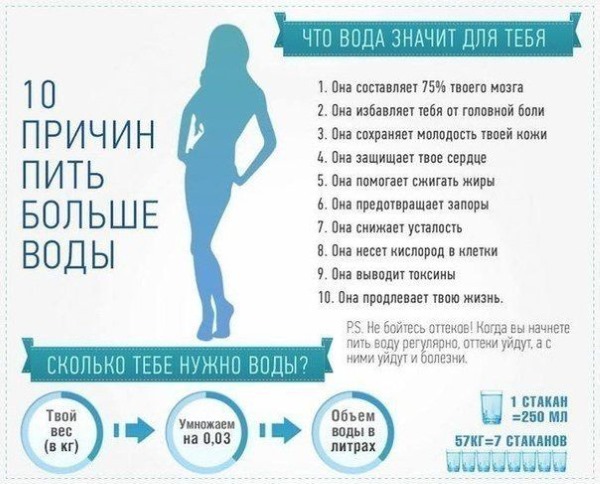 Вежбе са шипком за тело за задњицу и кукове, кичму, руке, леђа. Како то да урадите
