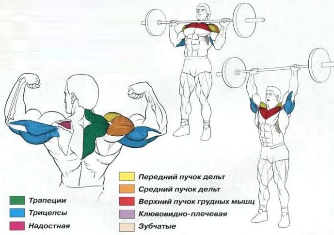 Các loại mô phỏng trong phòng tập và cách sử dụng chúng. Tên cho con gái