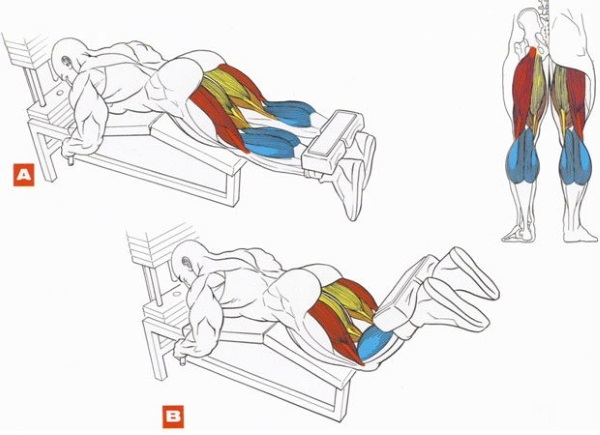 Các loại mô phỏng trong phòng tập và cách sử dụng chúng. Tên cho con gái