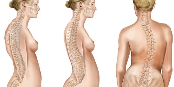 تمارين أساسية مع الدمبل للنساء على الكتفين والظهر والساقين وجميع مجموعات العضلات