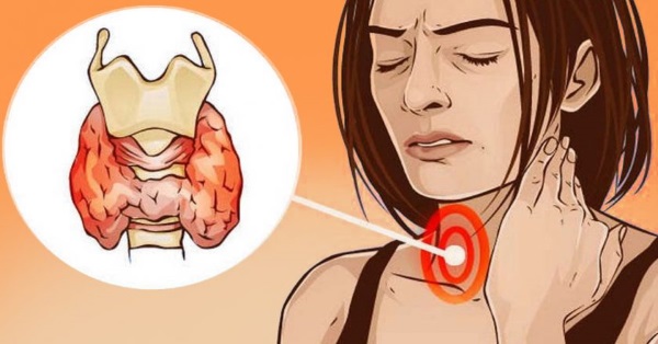 تمرين البتولا. فوائد للمرأة ، كيف تفعل ، من أجل ماذا ، أسلوب التنفيذ