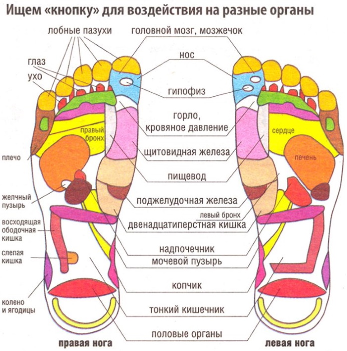 Pontos de acupuntura no corpo humano.Atlas, foto, como fazer acupressão