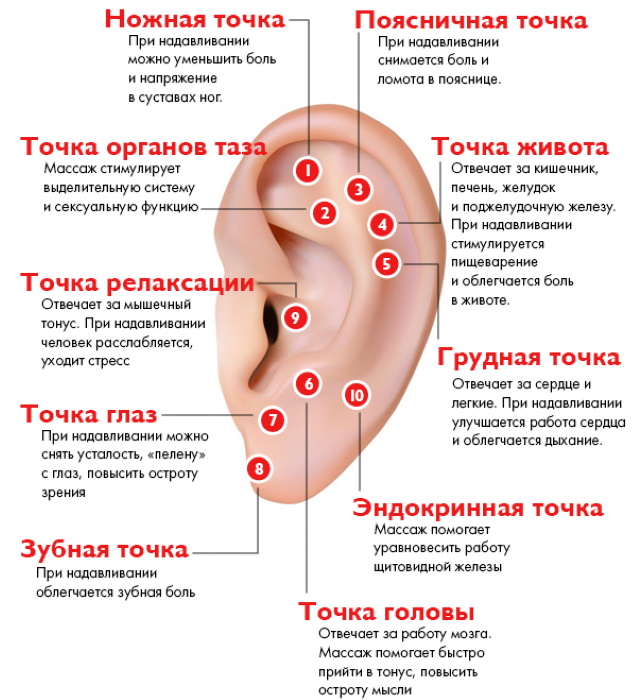 Pontos de acupuntura no corpo humano. Atlas, foto, como fazer acupressão