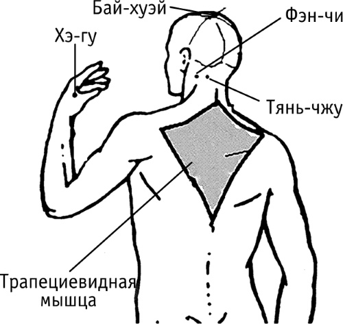 Pontos de acupuntura no corpo humano. Atlas, foto, como fazer acupressão