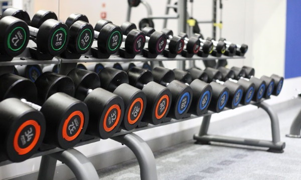 Bài tập vai cho nữ trong phòng gym. Video hướng dẫn, ảnh