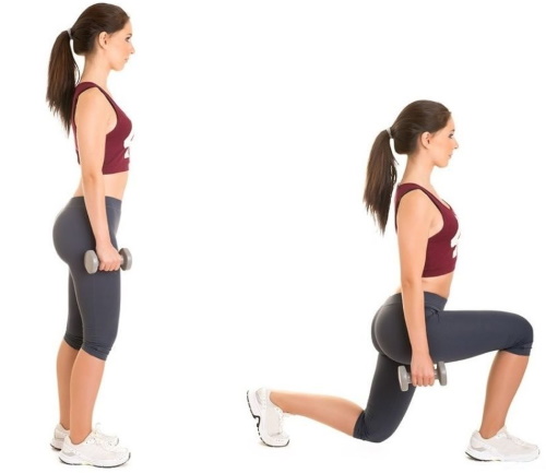 Exercícios de perna para emagrecer meninas com halteres, pesos e sem