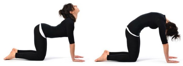 Latihan belakang untuk kanak-kanak perempuan dengan dumbbell, barbell, di bar mendatar di rumah