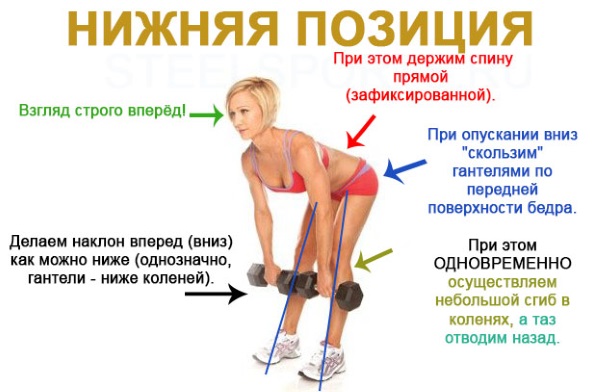 Latihan belakang untuk kanak-kanak perempuan dengan dumbbell, barbell, di bar mendatar di rumah