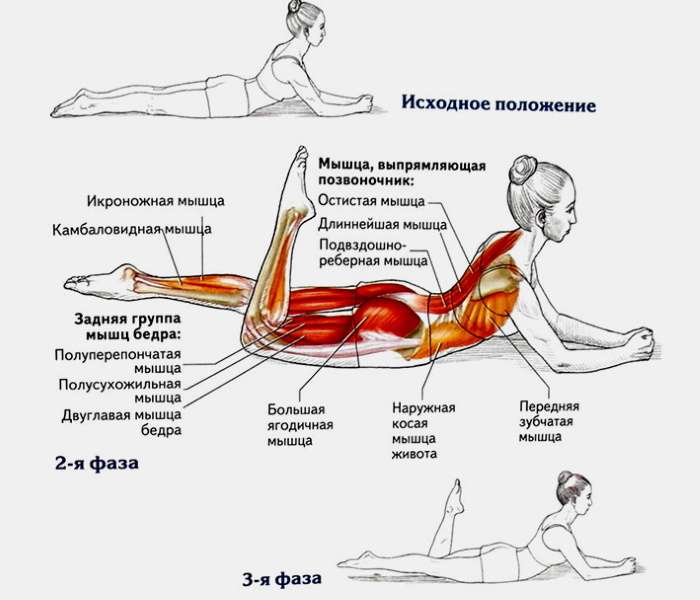 Latihan Pilates di rumah. Tutorial video untuk pemula