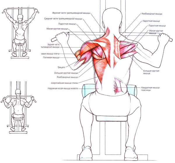 Tração vertical da máquina de exercício. Técnica para sentar, de costas, atrás da cabeça, com pegada estreita para mulheres