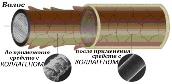 Обнављање колагенске косе. Шта је то, како то учинити, цена, прегледи