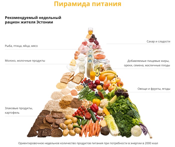 Вежбе за доњи део стомака код жена. Како то учинити, ефикасност, технике за штампу