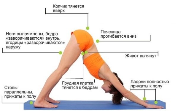 Latihan yoga sederhana untuk pemula, penurunan berat badan, punggung dan tulang belakang