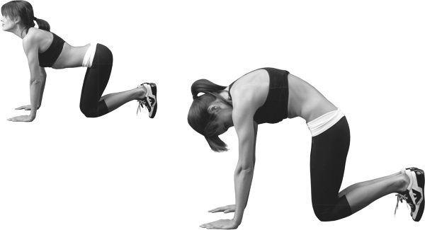 Latihan yoga sederhana untuk pemula, untuk penurunan berat badan, punggung dan tulang belakang