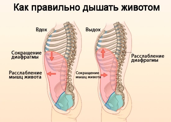 Усисавање стомака за мршављење. Како поступати, користити и нанети штету, прегледи,