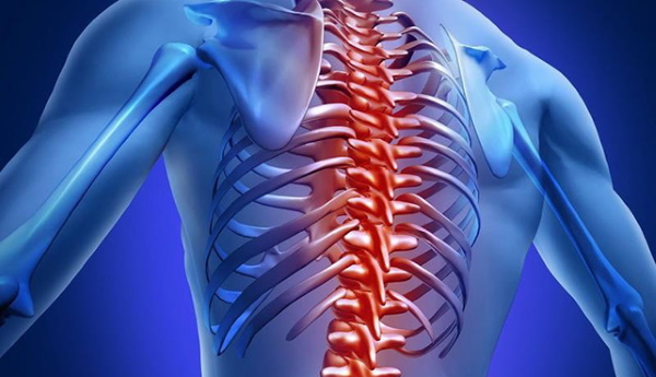 Exercícios com elástico para pernas e nádegas para mulher sentada em uma cadeira, em pé, deitada e outros