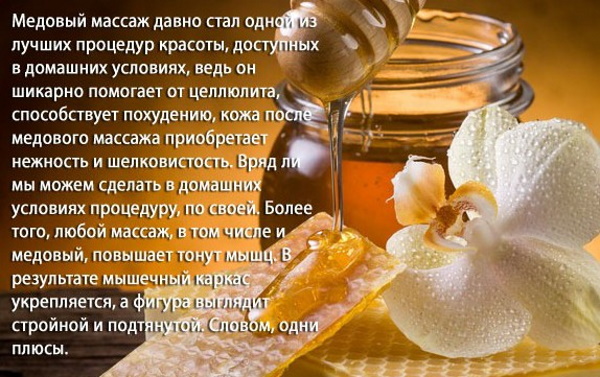 عسل الاغتصاب. خصائص مفيدة ، طبية ، كيفية الاستخدام ، موانع الاستعمال