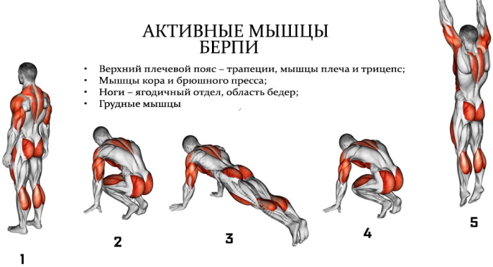 Бурпее. Како то учинити за почетнике, техника, вежбе, програм вежбања