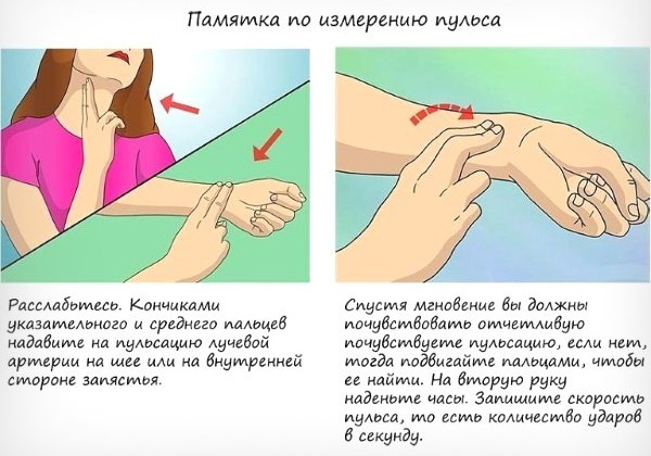 Xung khi tập thể dục. Tiêu chuẩn ở phụ nữ, nam giới, trẻ em, thanh thiếu niên, vận động viên