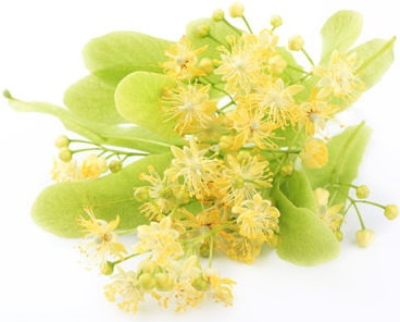 Tắm giảm béo tại nhà bằng soda, muối, giấm, mù tạt, sữa, magie. Công thức, kết quả