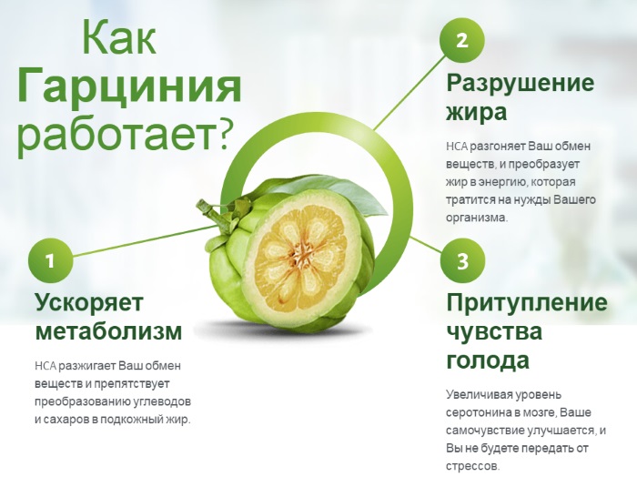 Гарциниа форте. Прегледи губитка тежине, упутства за употребу, аналоги