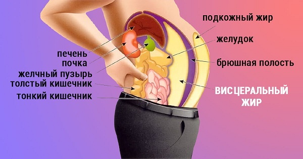 Nội tiết tố bụng ở phụ nữ. Làm thế nào để loại bỏ nó trông như thế nào, lý do, bài tập
