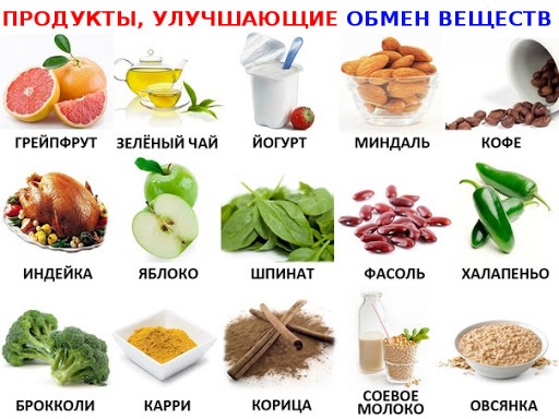 عمر التمثيل الغذائي. ما هو ، كيف نحسب ، تقليل