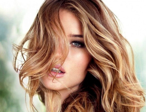 Rosie Huntington-Whiteley. Hình ảnh trước và sau khi phẫu thuật thẩm mỹ áo tắm, không trang điểm, phong cách, tiểu sử