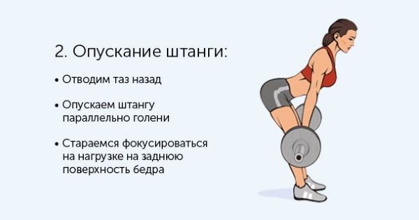 Дизање румунске мрене за жене. Техника извршења, који мишићи раде, ефекат