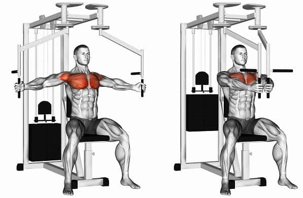 Máy tập cơ ngực cho nữ tập gym. Hình ảnh, tên bài tập, dạng bài