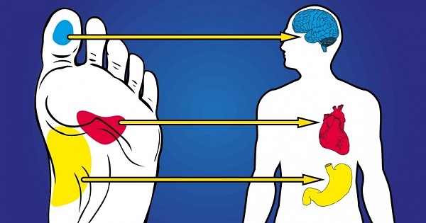 Pontos de acupuntura no pé humano. Layout da perna esquerda e direita