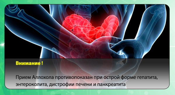 Allochol (Allochol) để giảm cân. Cách dùng đúng, hướng dẫn sử dụng, sơ đồ tiếp nhận