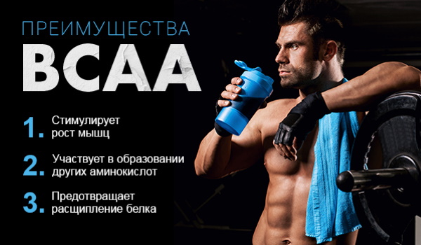 BCAA (BCAA). كيف تأخذ في مسحوق ، أقراص ، كبسولات ، ما هو ، تصنيف الأفضل