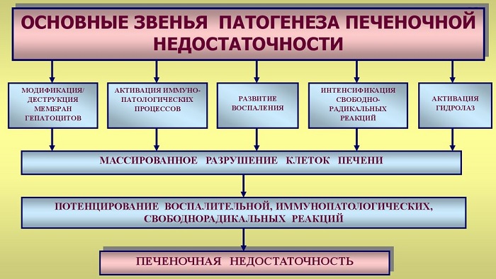 حبوب الحمية بيساكوديل (بيساكوديل). تعليمات الاستخدام والسعر والمراجعات