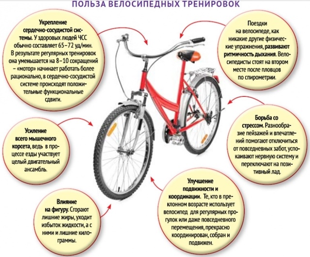 Treino de ciclo. O que é isso, quais músculos trabalham, benefício, dano, técnica