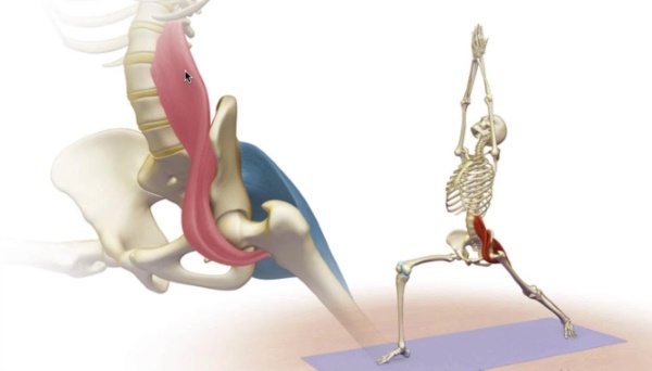 Otot iliopsoas. Latihan pengukuhan, regangan, cara mengepam