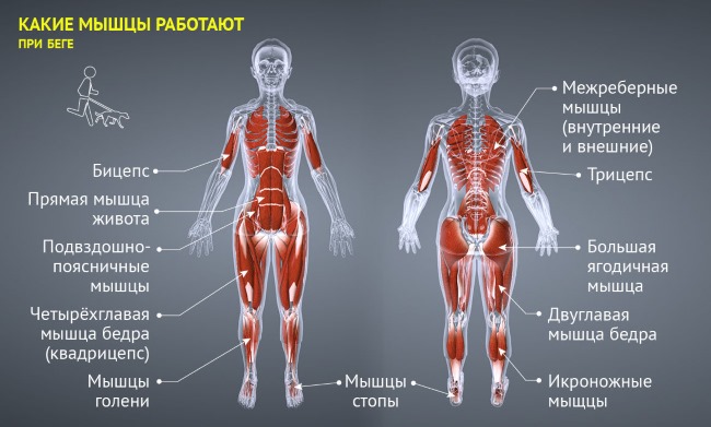Јоггинг. То је попут брзине, користи и штете, технике извршења