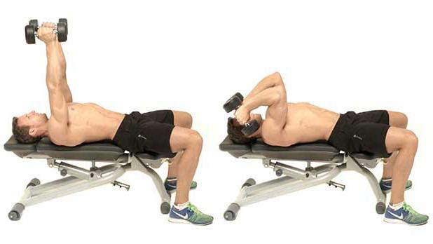 French bench press với một thanh tạ, tạ, đứng, ngồi. Kỹ thuật thực hiện