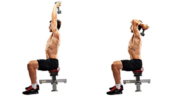 French bench press với một thanh tạ, tạ, đứng, ngồi. Kỹ thuật thực hiện