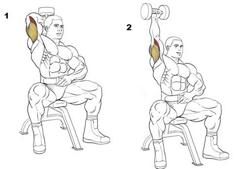 French bench press với một thanh tạ, tạ, đứng, ngồi. Kỹ thuật thực hiện