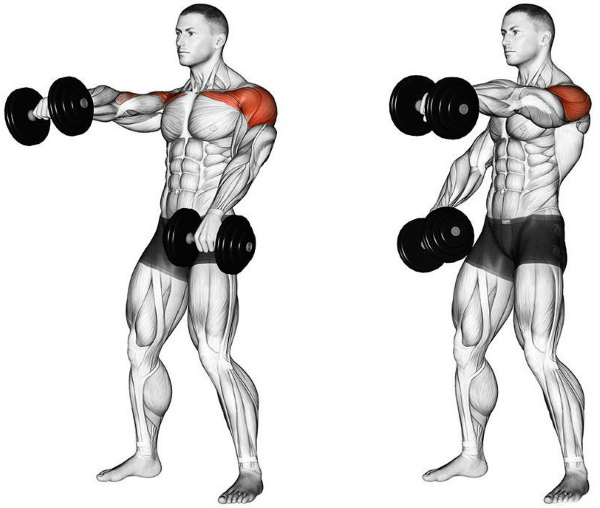 Nâng tạ trước mặt bạn. Cơ nào hoạt động, cách thực hiện khi đứng, khi ngồi, kỹ thuật