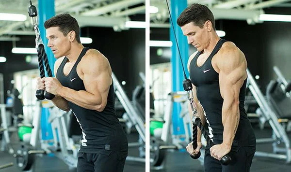 Sambungan Crossover Triceps. Teknik dengan tali, pegangan lurus, satu kuncir, dua tangan